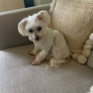 Meet your Posher, Jenn